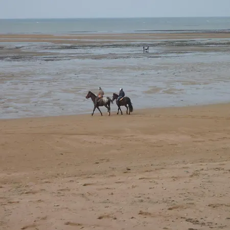 Plage Et Coquillage Courseulles-sur-Mer